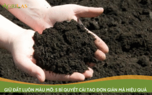 Đất màu mỡ tơi xốp