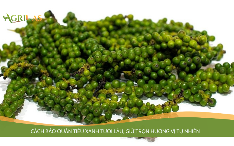 Cách bảo quản tiêu xanh