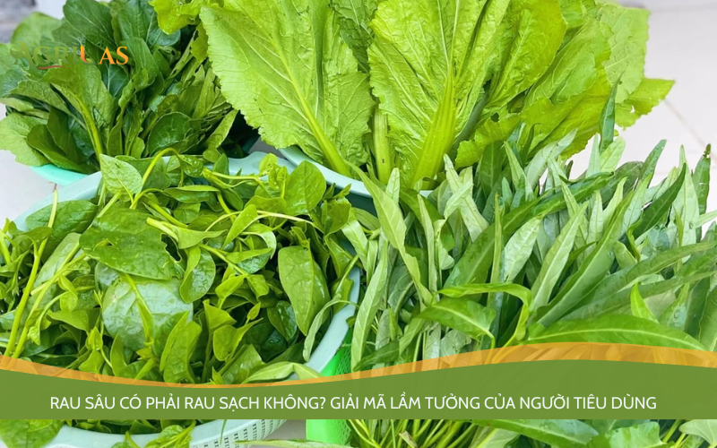 Rau sâu có phải rau sạch không