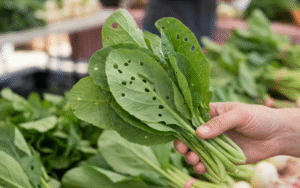 Rau sâu có phải rau sạch không