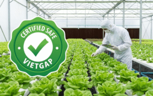 Rau sâu có phải rau sạch không