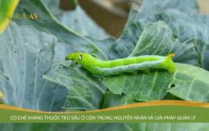 Cơ Chế Kháng Thuốc Trừ Sâu