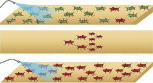 Cơ Chế Kháng Thuốc Trừ Sâu