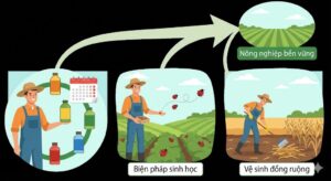 Cơ Chế Kháng Thuốc Trừ Sâu