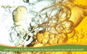 Chất Nhũ Hóa