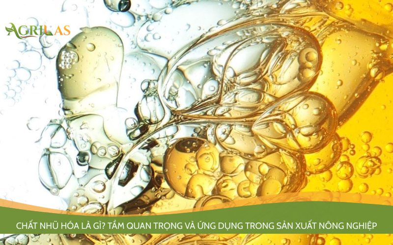 Chất Nhũ Hóa