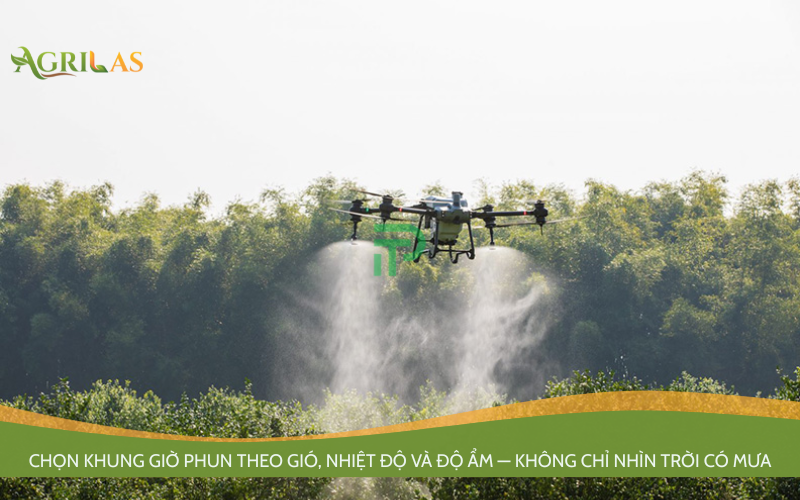 AGRILAS – Đối tác tin cậy của nhà phân phối trên toàn quốc. 📞 Hotline: 02723.759.860 – 0833.715.983 🌐 Website: agrilas.com ✉ Email: agrilasjsc@gmail.com 📍 Lô F13, Đường Số 5, KCN Đức Hoà III – Hồng Đạt, Xã Đức Lập, Tỉnh Tây Ninh