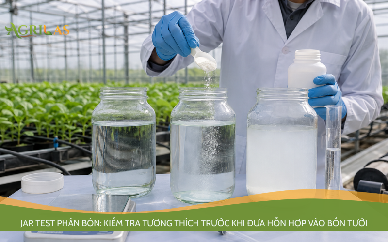 Kiểm tra tương thích