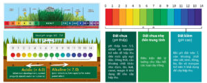Cách đọc kết quả phân tích đất